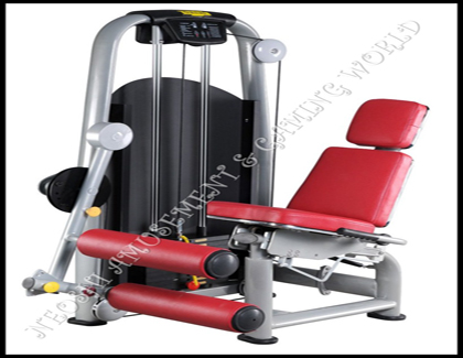 SEATED LEG CURL FITNESS EQUIPMENT